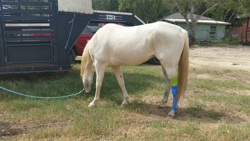 Retama Equine Hospital - Thumbnail