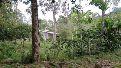 lodging