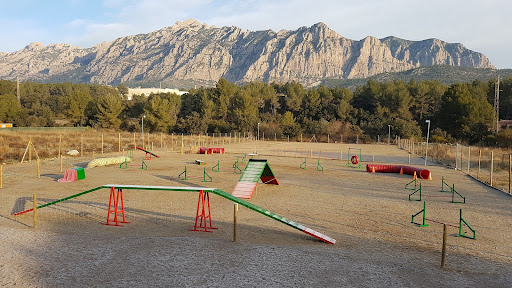 Club Caní Vent Roig