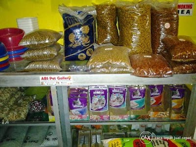 Photos of ABS Pet Gallery