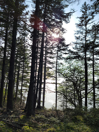 Clark Island Preserve - Thumbnail