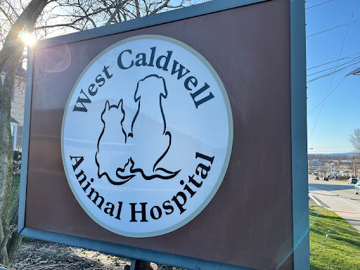 West Caldwell Animal Hospital - Thumbnail