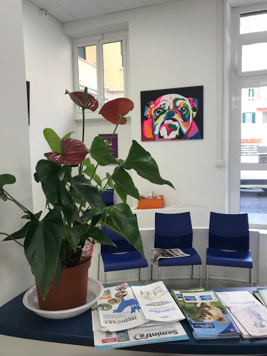 Centro Veterinario Chisimaio Gallery - Italy