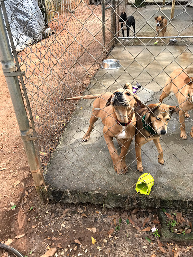 SOS Animal Shelter - Thumbnail