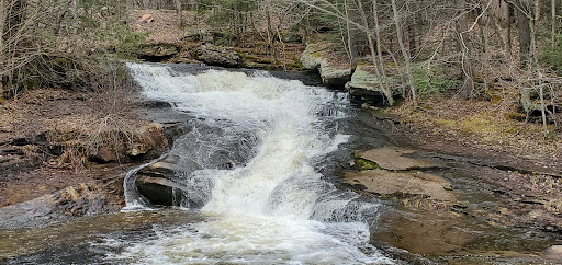 Rattlesnake Gutter Conservation Area Trail Head - Thumbnail