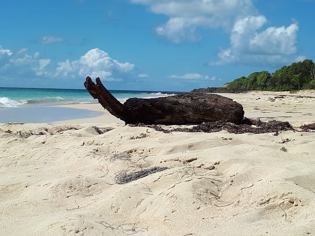 Grande Anse des Salines