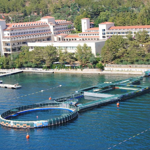 Dolphin Park Yunuslarla Terapi ve Eğlence Merkezi - Marmaris