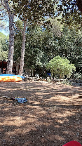 Radno vrijeme Punta Cabana