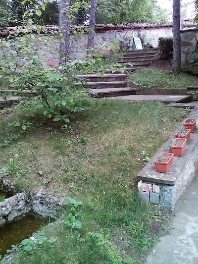 Photos of Izgrev