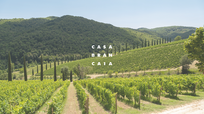 Brancaia — photo