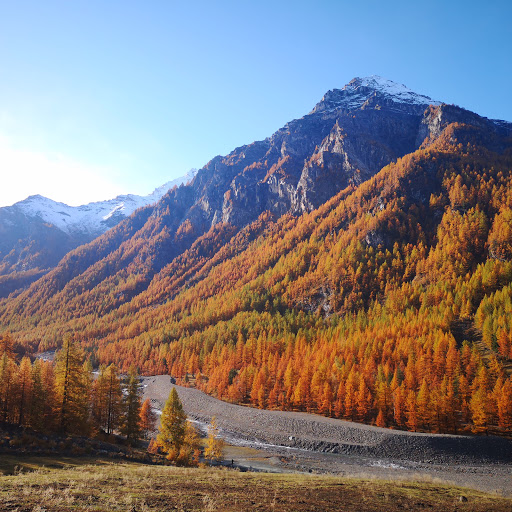 Punto Informazioni e pagamento pedaggio Parco Val Troncea Gallery - Italy