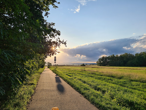 Heidewald - Thumbnail
