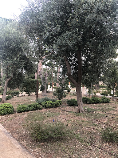 Parco Bonomo - Visual