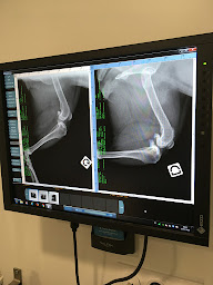 Photo n°8 de VETALBANORD à Montauban (Clinique vétérinaire)