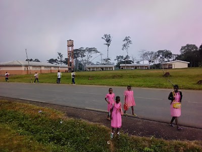 Photos of Escapade De La Vall&eacute;e