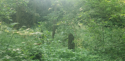 Donna May Campbell Nature Preserve - Darke County Parks