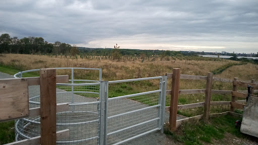 Baginton Loops- Park and Woodlands Gallery - United Kingdom