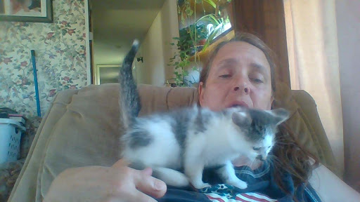 Southern Tier Animal Rescue