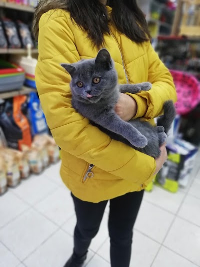 Florya Pet Shop