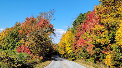 Little Pisgah Ridge Tunnel Gallery - United States