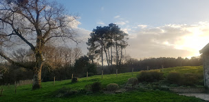 Photo n°7 de Terranimée : écogîte, stages et permaculture à Saint-Jean-la-Poterie (Lodge)