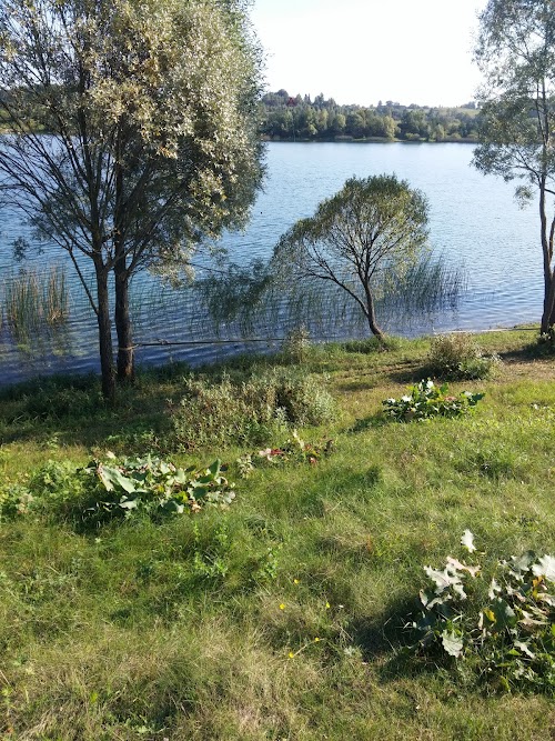 Daugavpils veikparks