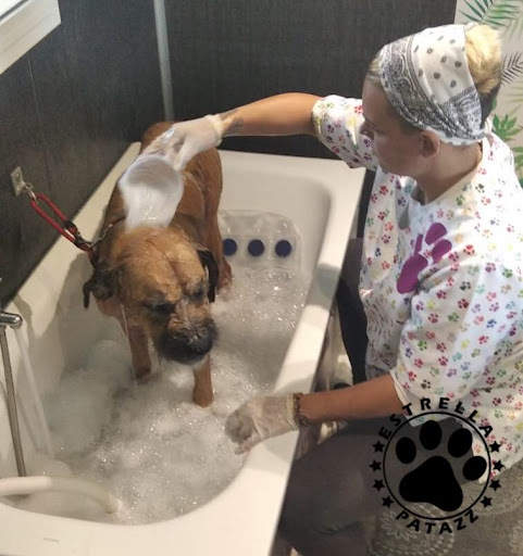 Peluquería & Guarderia de Mascotas Estrella Patazz