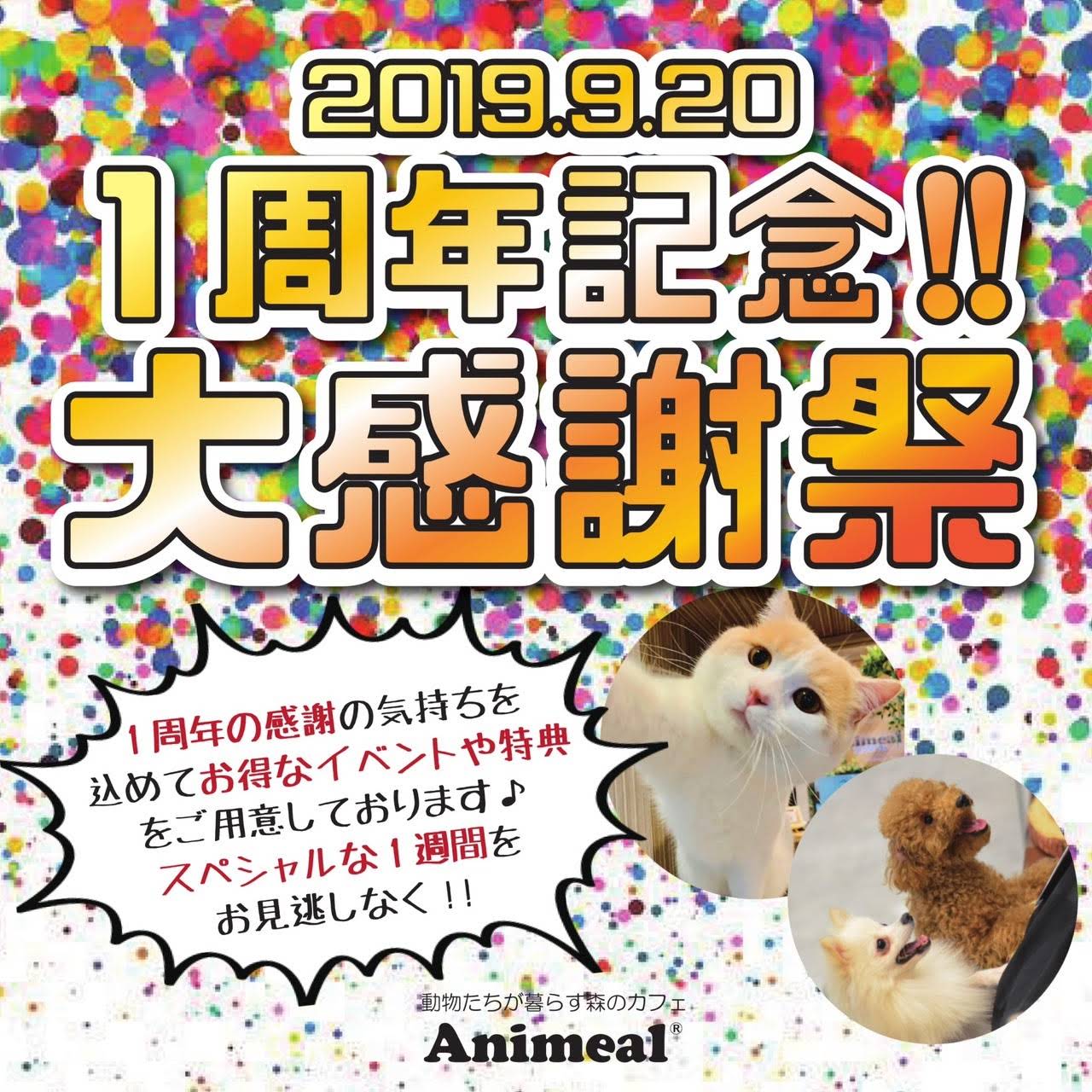 動物たちが暮らす森のカフェ アニミル 動物とふれあえる体験施設 動物カフェ 動物園でもなくカフェでもない 今までになかった非日常空間 アニミル