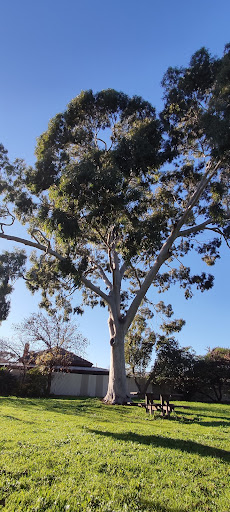 Rozelle Reserve - Thumbnail