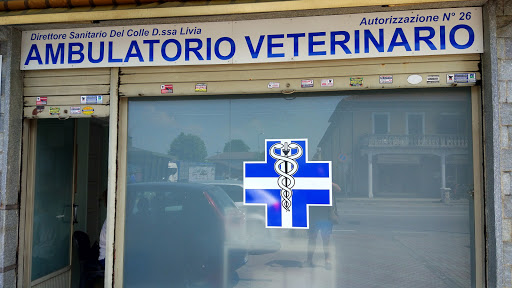 Del Colle Dr. Livia - Thumbnail