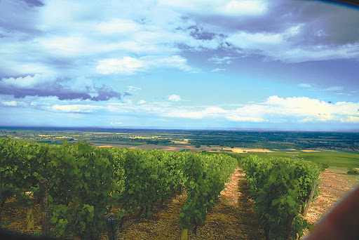 Photo de EPHAD Les Vignes Dorées à Senozan (71260)