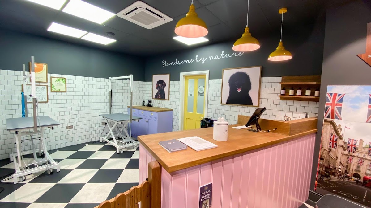 Dogwood Lewes Pet Grooming Spa store