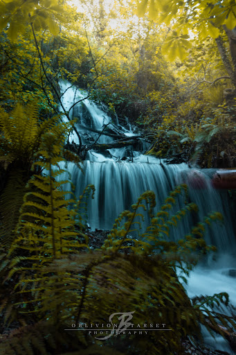 Cascada Las Vegas - Thumbnail