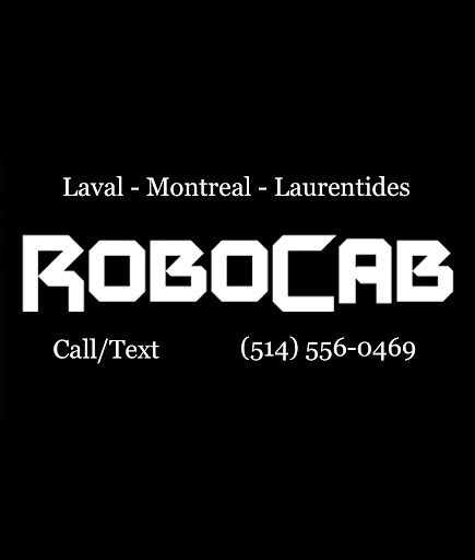 RoboTaxi - Visual