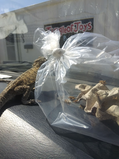 Jungle of Joys Pet Shop - Thumbnail