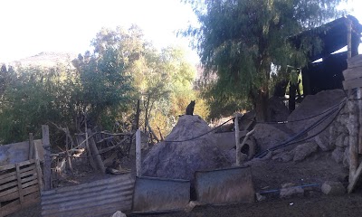 Photos of Paradero 1