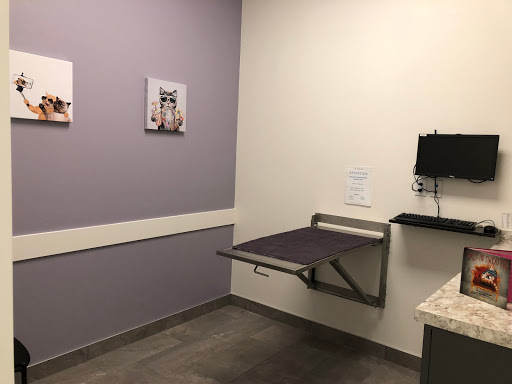 East Hants Animal Hospital - Thumbnail