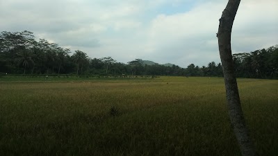 Photos of Bendungan Sawangan