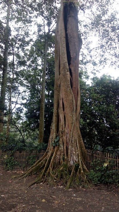 Photos of Pura Widya Karana Kayukebek
