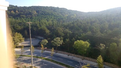 Photos of bosphorus film studio