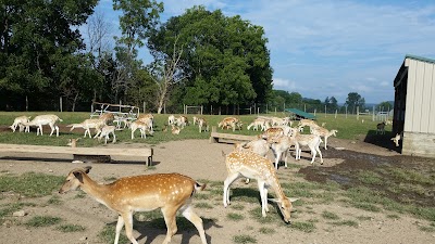 The Spotted Horse Ranch