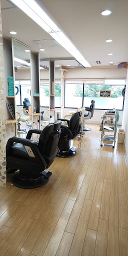 Barberタンポポ
