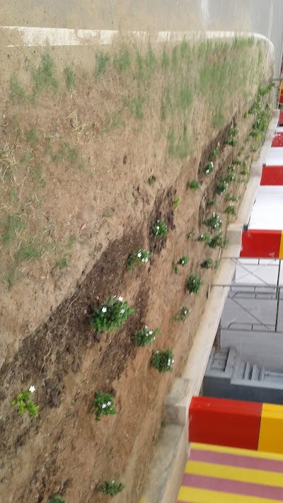 Photos of Ceypetco Filling Center