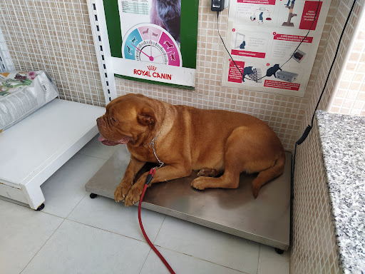Centro Veterinario Tu Mascota - Thumbnail