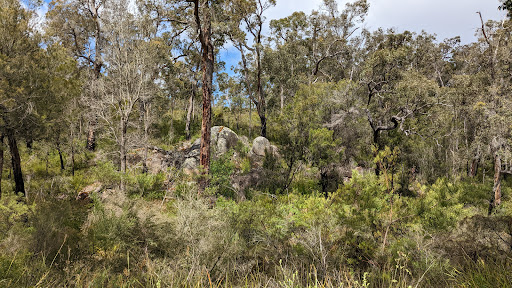 Mount Lindesay National Park Gallery - Australia