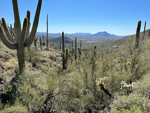 Spur Cross Ranch Conservation - Thumbnail