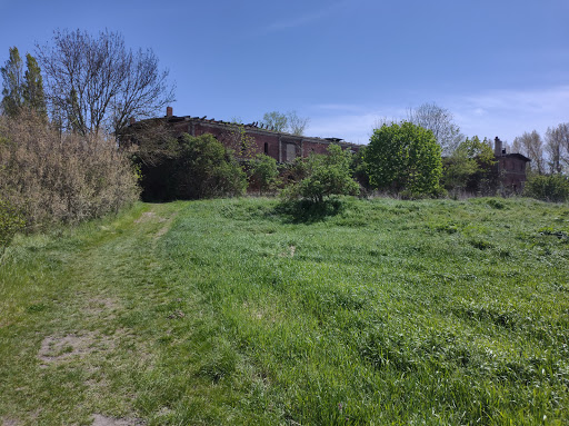 Ruine alter Kuhstall - Thumbnail