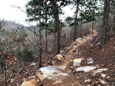 Coldwater Mountain Bike Trails, Anniston Trailhead