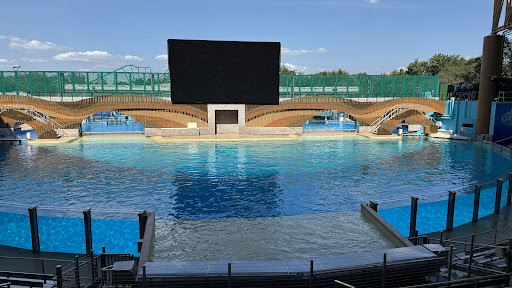 Orca Encounter - Visual