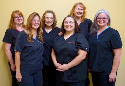 Southtowns Dental Services